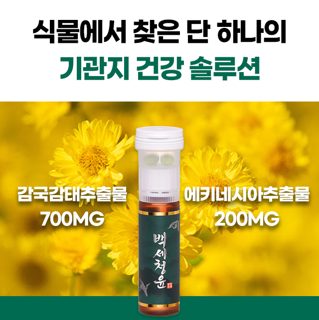 백세청윤